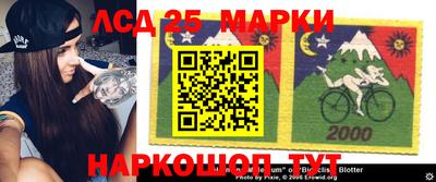 винт Можга