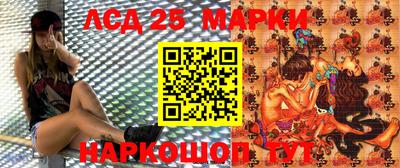 винт Можга